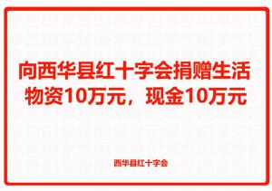 向西華縣紅十字會捐贈生活物資10萬元，現金10萬元